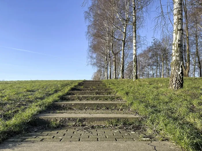 Framed Print : Stairs in the park with meadow and a row of birch trees Framed Print : Stairs in the park with meadow and a row of birch trees
