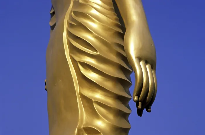 Framed Print : Standing buddha statue, detail