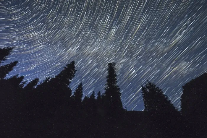 Framed Print : Star Trails on Night Sky over Coniferous Forest Framed Print : Star Trails on Night Sky over Coniferous Forest