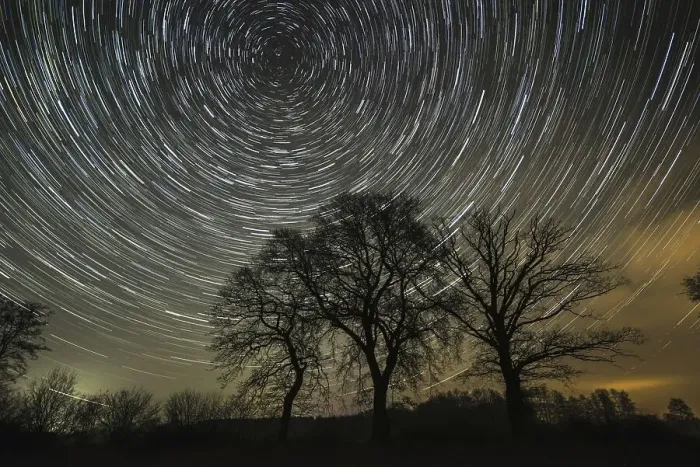 Framed Print : Star trails over trees in the night sky Framed Print : Star trails over trees in the night sky
