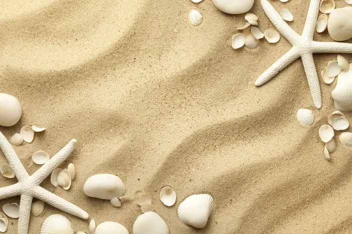 Framed Print : Starfishes, stones and seashells on sand background Framed Print : Starfishes, stones and seashells on sand background