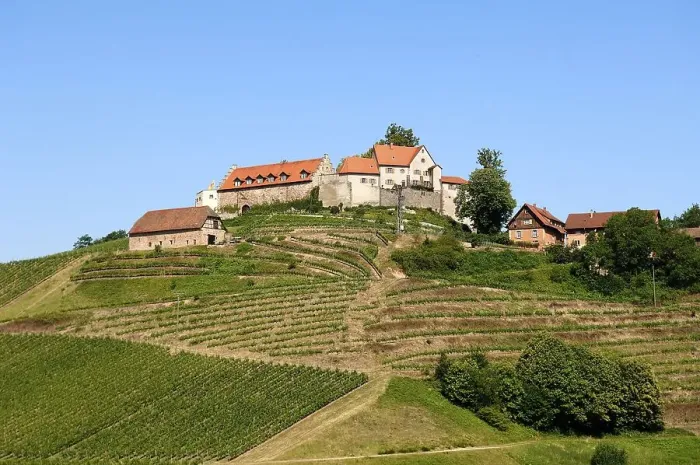 Framed Print : Staufenberg Castle with vineyards