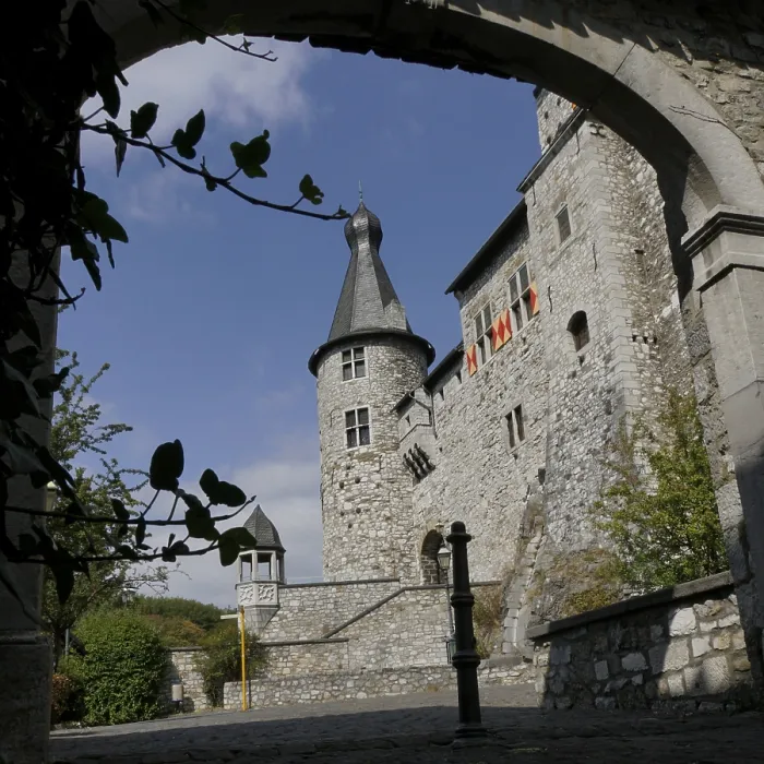 Framed Print : Stolberg Castle above the historic old town