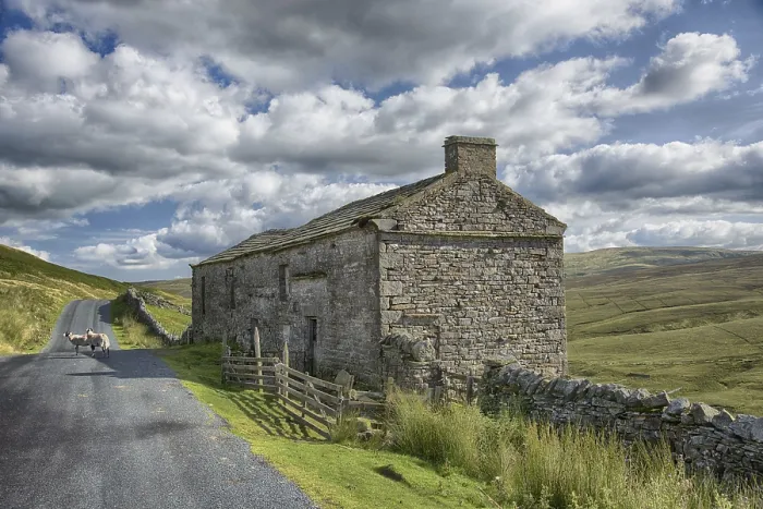 Framed Print : Stone barn, dry stone walls and sheep standing on the road Framed Print : Stone barn, dry stone walls and sheep standing on the road