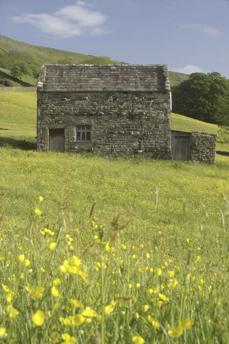 Framed Print : Stone barn in wildflower meadow Framed Print : Stone barn in wildflower meadow