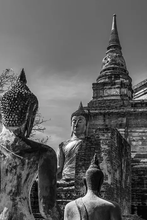 Framed Print : Stone Buddha statues, a temple tower in the back