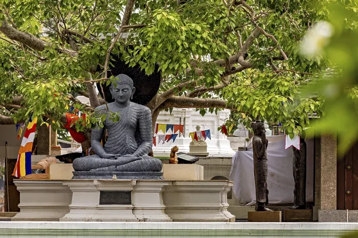 Framed Print : Stone Buddha under trees with decorative prayer flags in the temple area Framed Print : Stone Buddha under trees with decorative prayer flags in the temple area