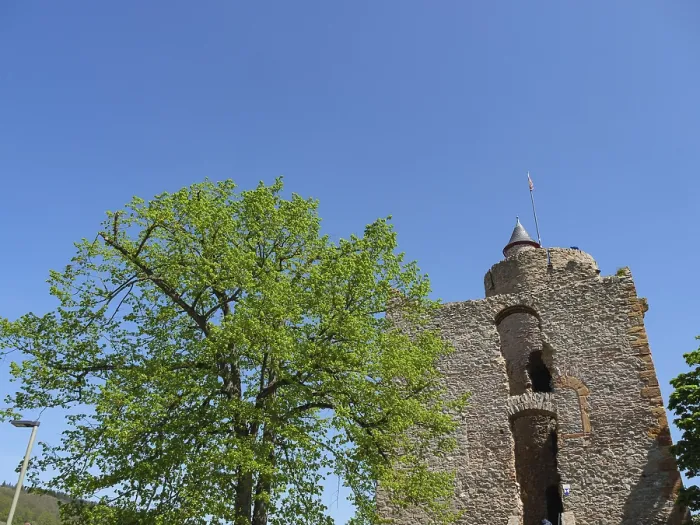 Framed Print : Stone castle tower surrounded by green trees and a clear blue sky on a sunny day