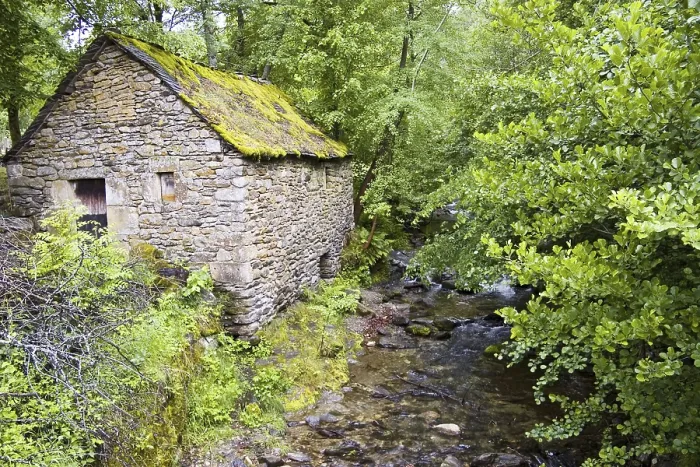 Framed Print : Stone house, stream in forest, Cevennes
