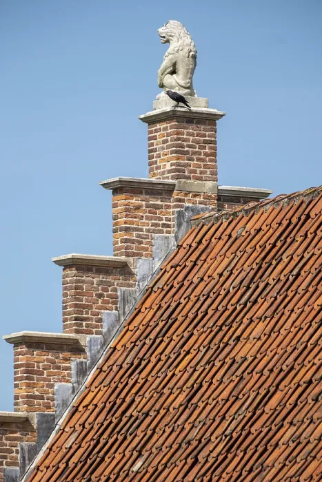Framed Print : Stone lion on medieval gable and house roof in the netherlands