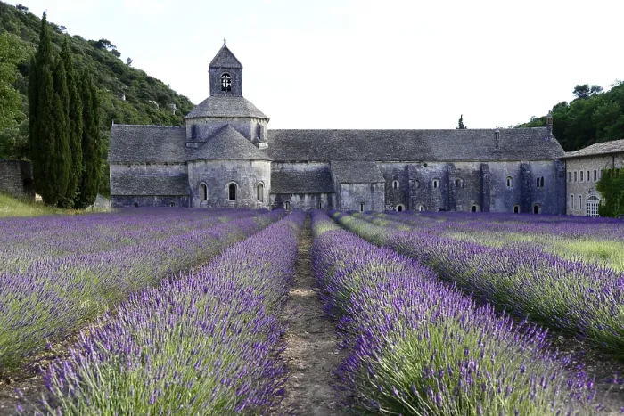 Framed Print : Stone monastery in front of a rich lavender field
