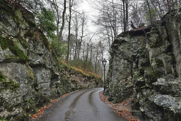 Framed Print : Stone road in the forest near Hohenschwangau castle in Germany