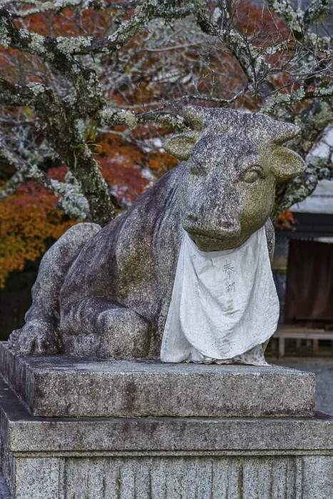 Framed Print : Stone sculpture of a bull with a white cloth and colorful autumn leaves