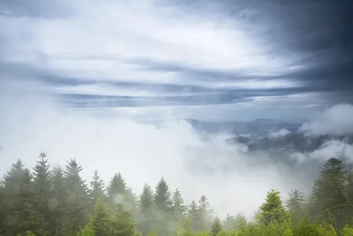 Framed Print : Stormy atmosphere with fog after heavy rain falls on the Schliffkopf mountain Framed Print : Stormy atmosphere with fog after heavy rain falls on the Schliffkopf mountain