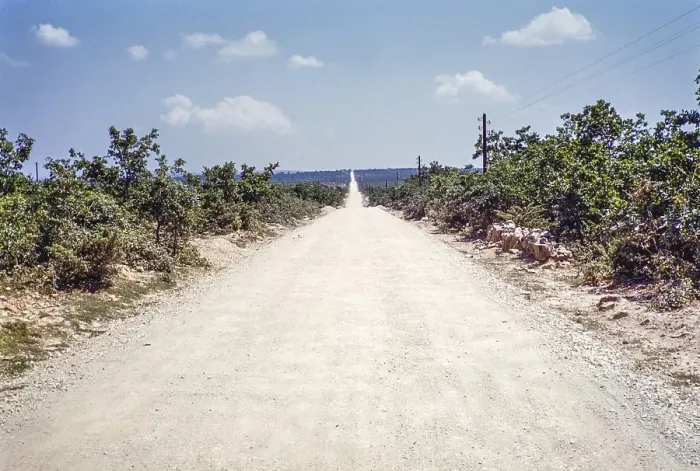 Framed Print : Straight dirt road south of Zadar, Croatia, former Yugoslavia, Europe 1960, Europe Framed Print : Straight dirt road south of Zadar, Croatia, former Yugoslavia, Europe 1960, Europe