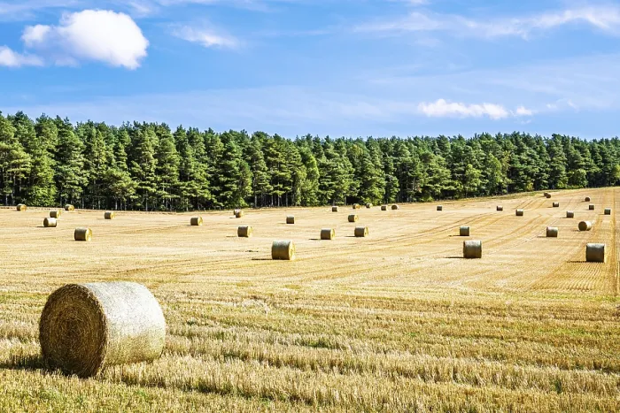 Framed Print : Straw bales in the Scottish fields