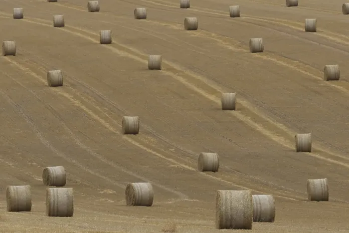 Framed Print : Straw or hay bales in a farmland stubble field