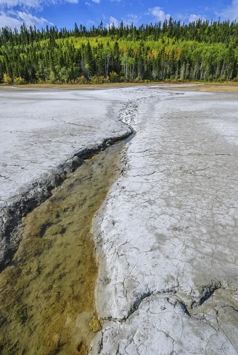 Framed Print : A stream of brine from a mineral spring flows past salty mud flats before entering the Salt River in Wood Buffalo