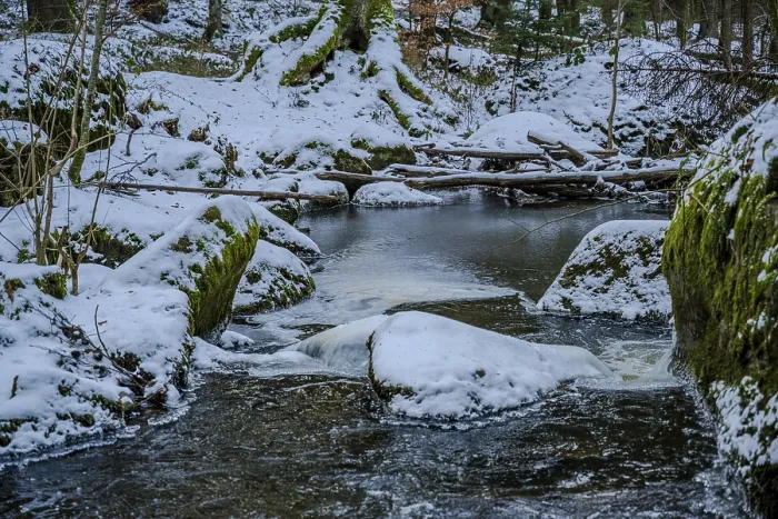 Framed Print : The stream flows calmly through the forest Framed Print : The stream flows calmly through the forest