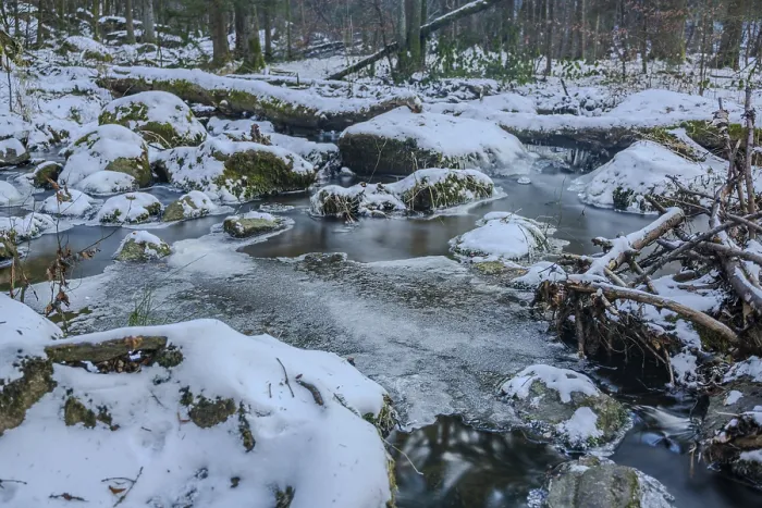Framed Print : A stream flows through the forest