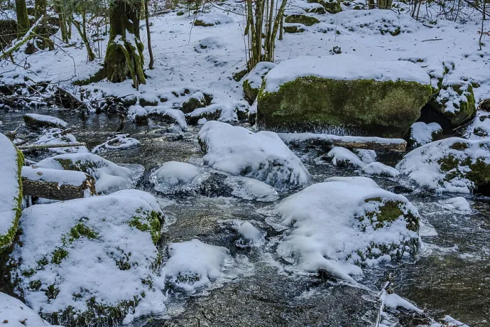 Framed Print : A stream flows in a forest that is covered with snow
