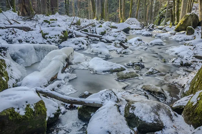Framed Print : The stream flows slowly through the forest