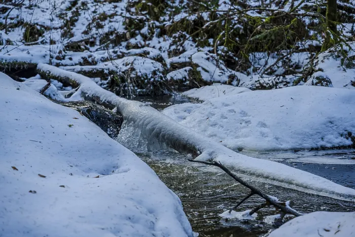 Framed Print : A stream flows through a snowy forest Framed Print : A stream flows through a snowy forest