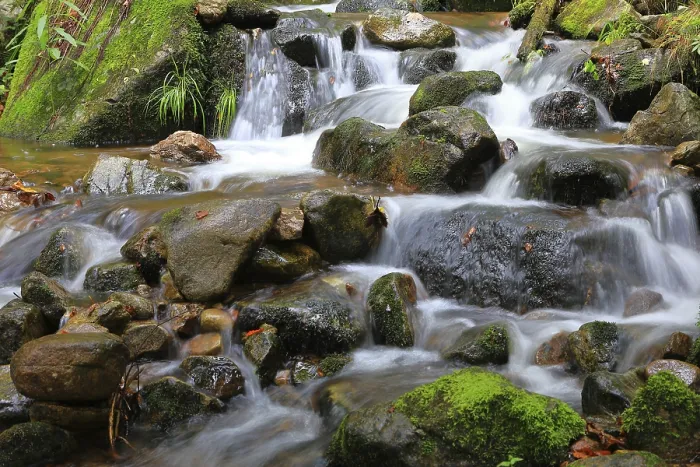 Framed Print : Stream in the forest, rock, long exposure Framed Print : Stream in the forest, rock, long exposure