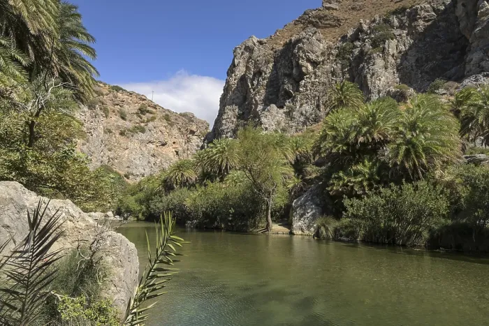 Framed Print : Stream, palm trees, Preveli, Crete, Greece, Europe Framed Print : Stream, palm trees, Preveli, Crete, Greece, Europe