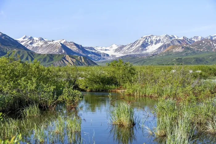 Framed Print : Stream and picturesque mountain landscape with Gulkana glacier and summit Icefall Peak