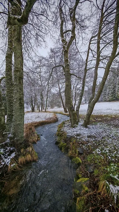 Framed Print : A stream snakes through a snow-covered forest landscape with bare trees