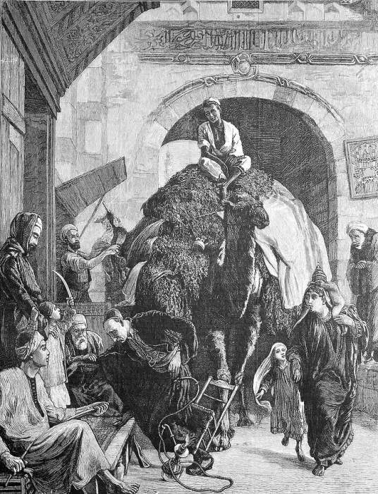 Framed Print : A street in cairo, a merchant with a loaded camel rides through the gate Framed Print : A street in cairo, a merchant with a loaded camel rides through the gate