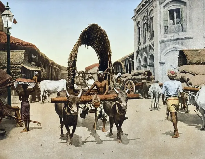 Framed Print : Street scene with an ox cart in Colombo Framed Print : Street scene with an ox cart in Colombo