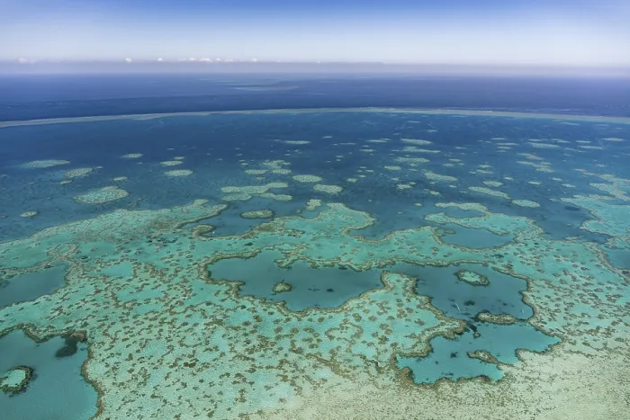 Framed Print : Structures in the Coral Reef, Outer Great Barrier Reef