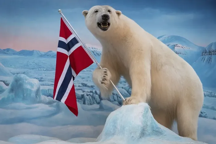 Framed Print : Stuffed Polar bear (Ursus maritimus) with Norwegian flag Framed Print : Stuffed Polar bear (Ursus maritimus) with Norwegian flag