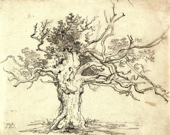 Framed Print : A stunted oak, 1822, Lithograph by James Ward Framed Print : A stunted oak, 1822, Lithograph by James Ward
