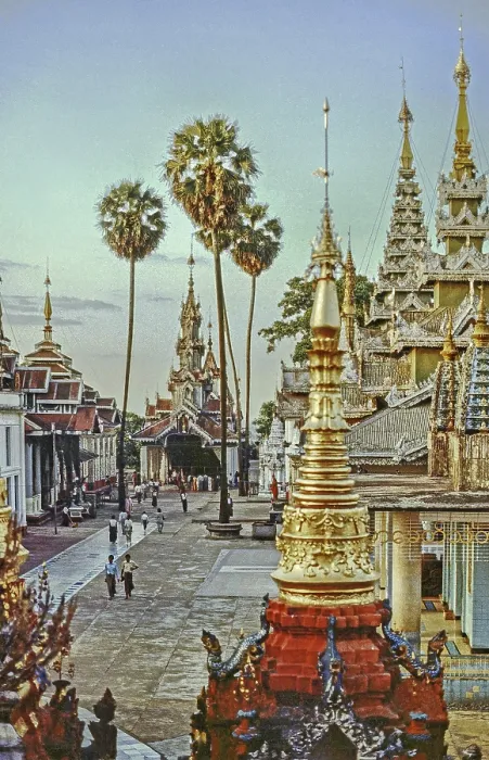 Framed Print : Stupas palm trees and worshippers on Shwedagon Pagoda
