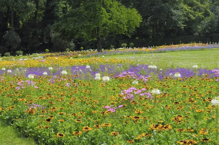 Framed Print : Stuttgart : Killesberg, flowerbeds in summer