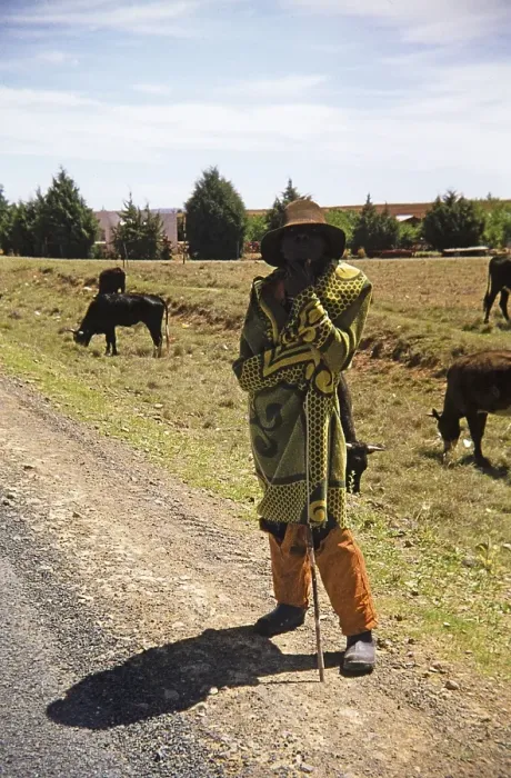 Framed Print : Subtitle: Basuto shepherd with traditional blanket near his cattle, South Africa 1979 Framed Print : Subtitle: Basuto shepherd with traditional blanket near his cattle, South Africa 1979