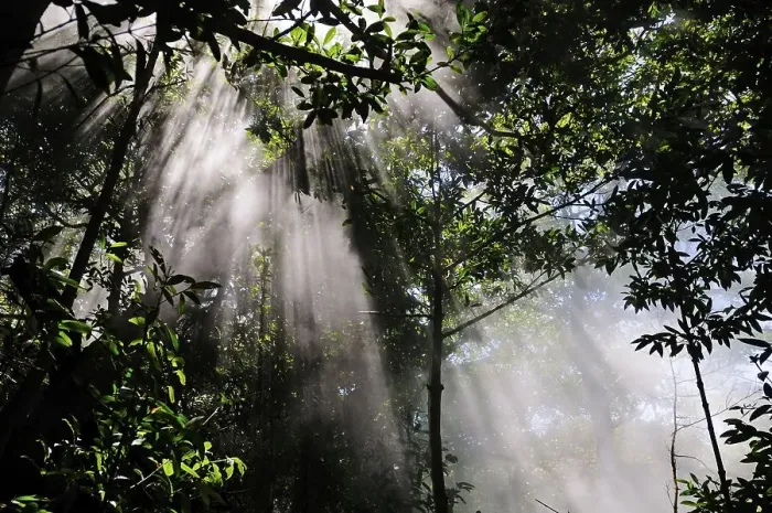 Framed Print : Sulfurous mist at Rincon de la Vieja National Park Framed Print : Sulfurous mist at Rincon de la Vieja National Park