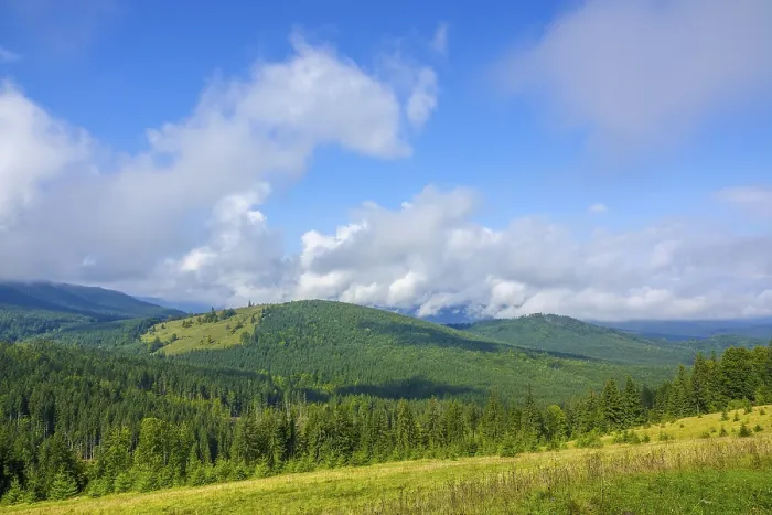 Framed Print : Summer in the forested mountains