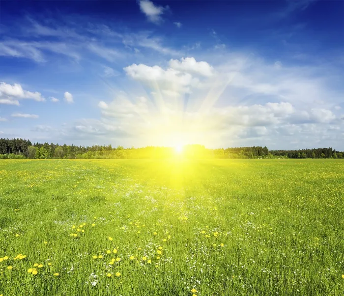 Framed Print : Summer meadow on sunset with blu sky and sun rays
