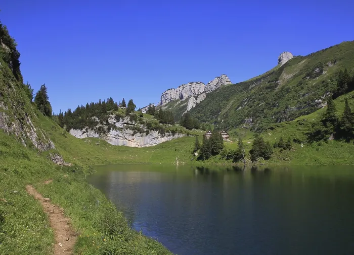 Framed Print : Summer scene in the Swiss Alps