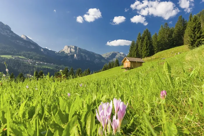 Framed Print : Summer view over fields and mountain hut in the Dolomites of the Fassa Valley