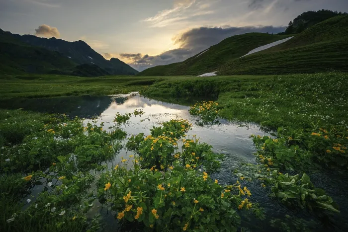 Framed Print : Summit in the morning light with dramatic clouds and marsh marigolds (Caltha) with stream in the foreground