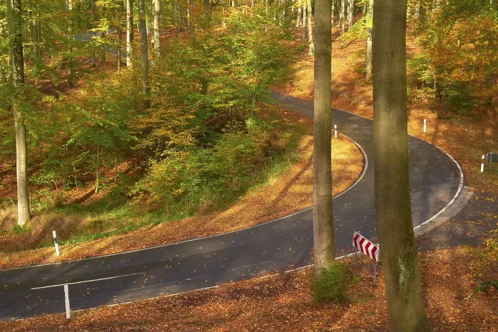 Framed Print : Sun illuminates a winding road leading through an autumnal forest with colourful foliage and tall trees