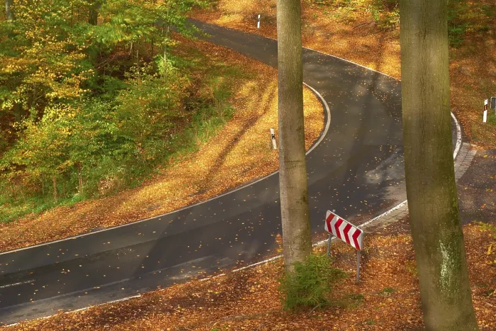 Framed Print : Sun illuminates a winding road leading through an autumnal forest with colourful foliage and tall trees