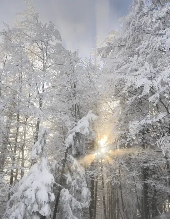 Framed Print : Sun rays in a light mist, Mt. Unterberg