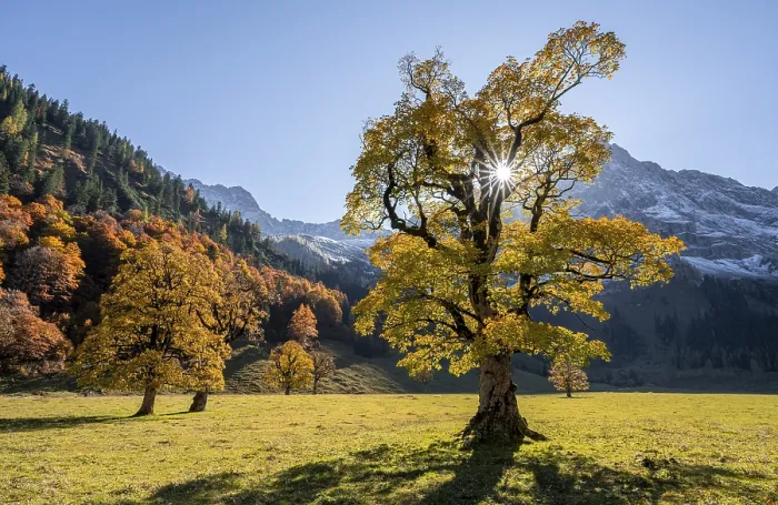 Framed Print : Sun star, Karwendel and Grosser Ahornboden in autumn Framed Print : Sun star, Karwendel and Grosser Ahornboden in autumn