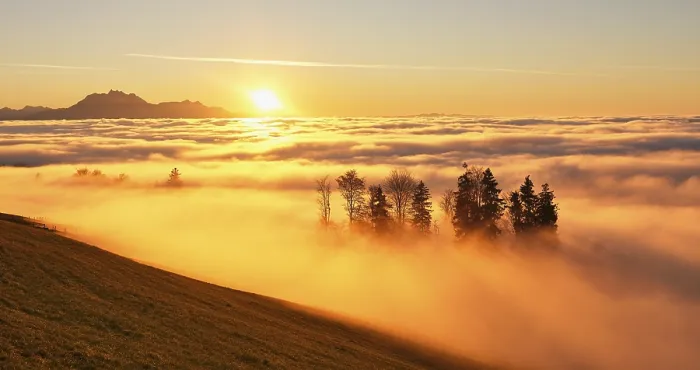 Framed Print : Sunbeams shining in the mist through a forest in the back Pilatus in the light of the setting sun Framed Print : Sunbeams shining in the mist through a forest in the back Pilatus in the light of the setting sun